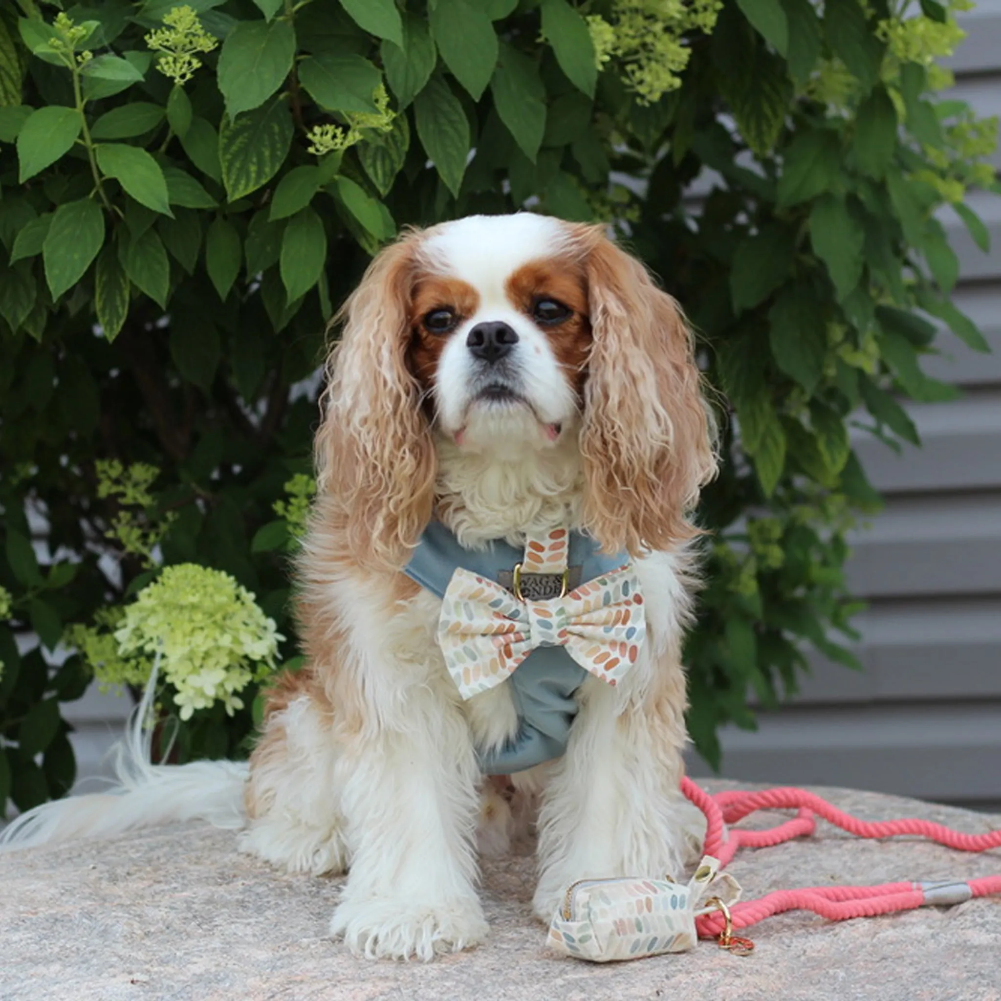 Arctic Sky Reversible Dog Harness   Bow Tie