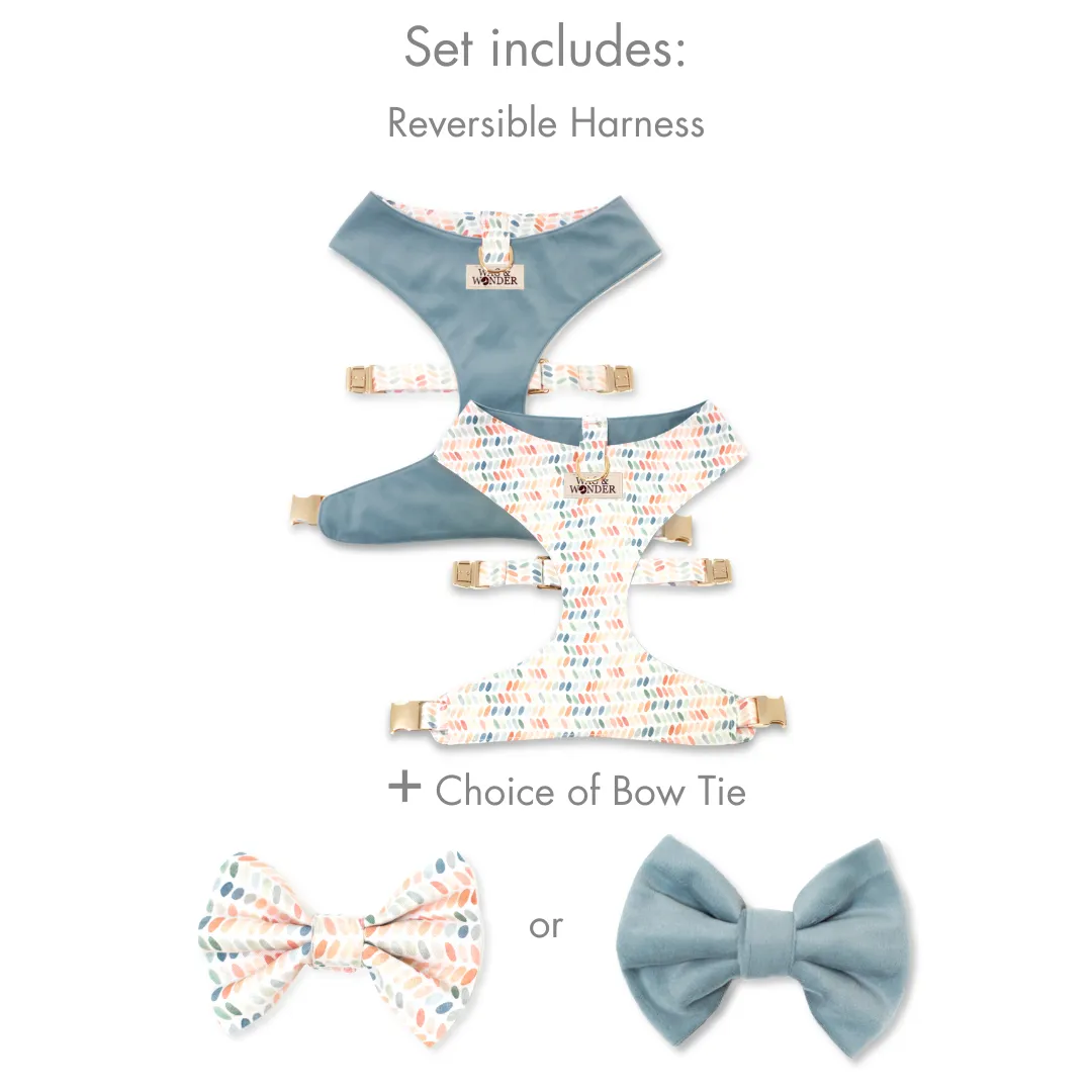 Arctic Sky Reversible Dog Harness   Bow Tie