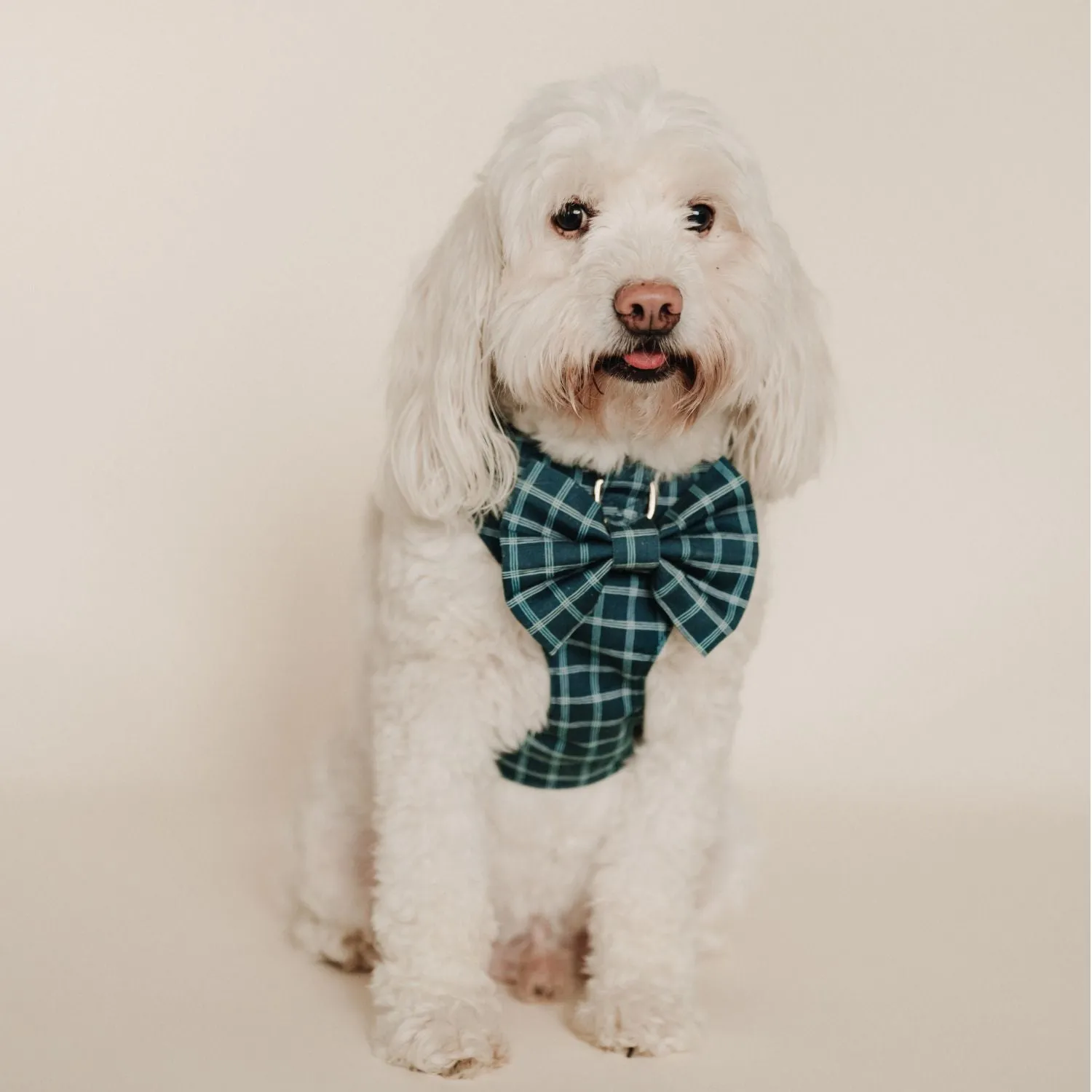 Atlantic Waves Reversible Dog Harness   Bow Tie