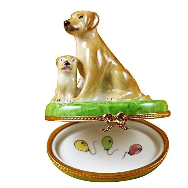 Beige Labrador with Puppy