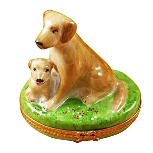 Beige Labrador with Puppy