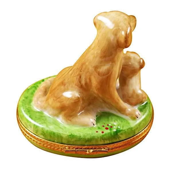 Beige Labrador with Puppy