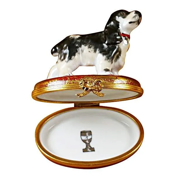 Black & White Cocker Spaniel