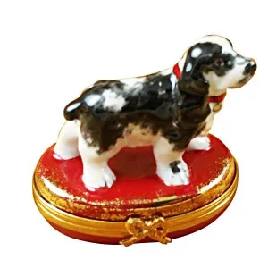 Black & White Cocker Spaniel