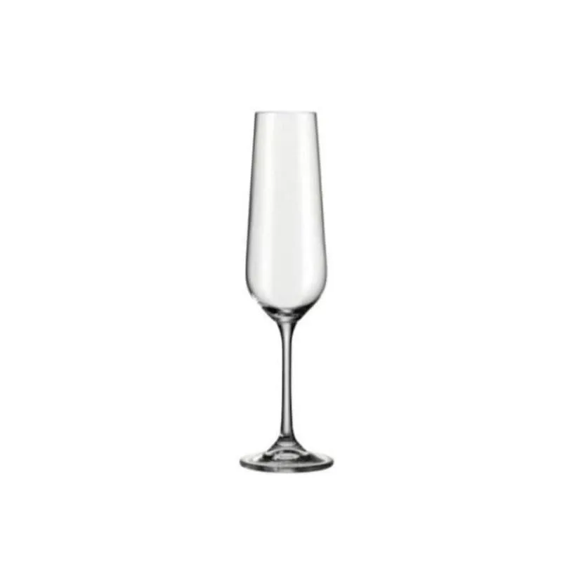 Bohemia Royal Crystal Tori Titanium Champagne Glass 210 ml Set Of 6