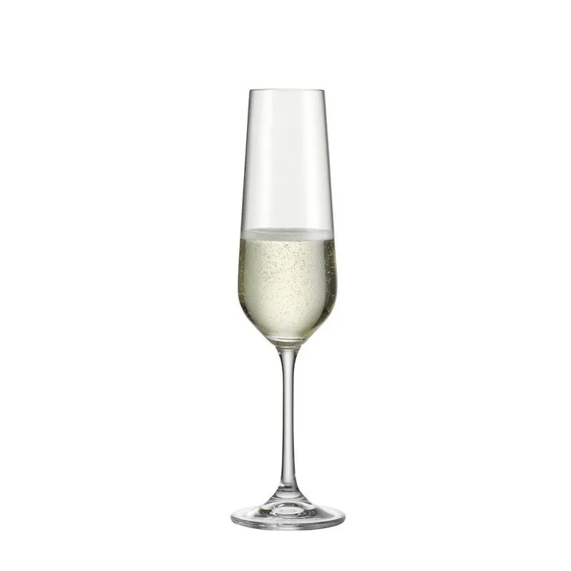 Bohemia Royal Crystal Tori Titanium Champagne Glass 210 ml Set Of 6
