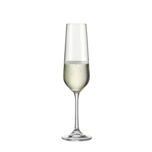 Bohemia Royal Crystal Tori Titanium Champagne Glass 210 ml Set Of 6
