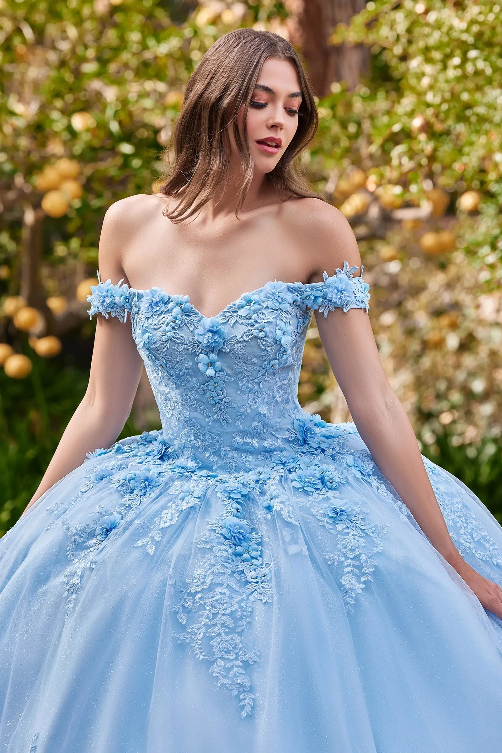 Cinderella Divine- 15702