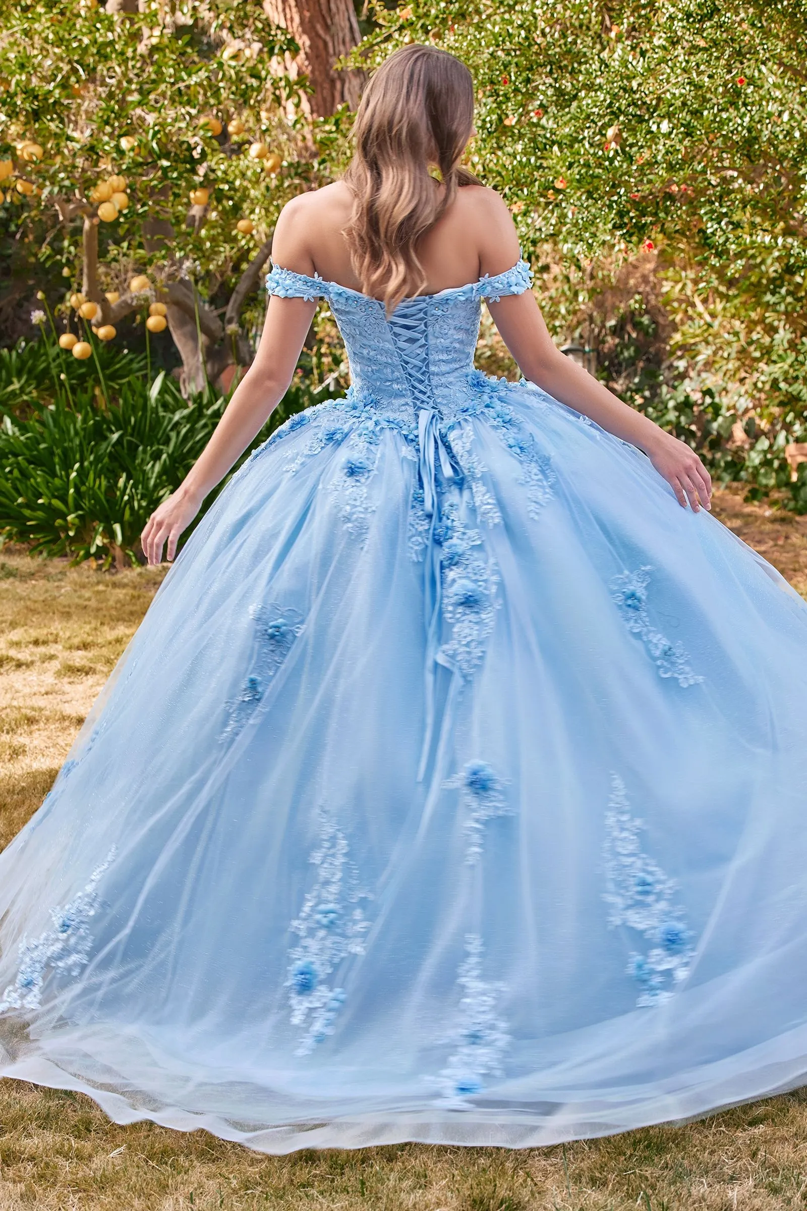 Cinderella Divine- 15702