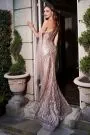 Cinderella Evening Dress CB096