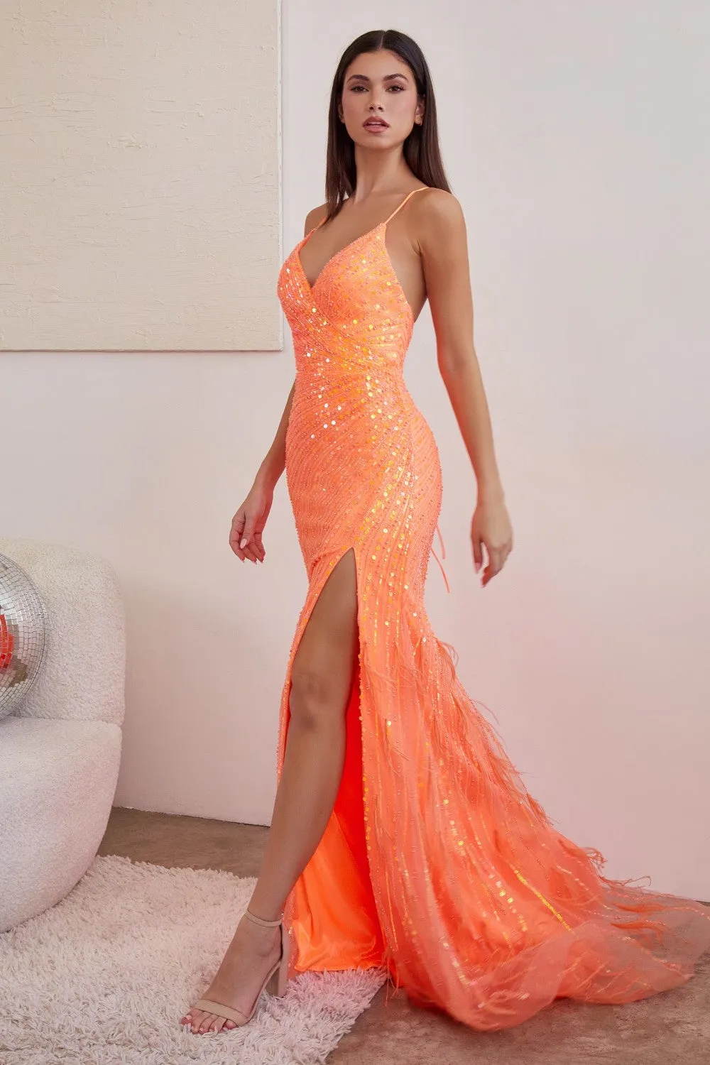 Cinderella Evening Dress CD0209