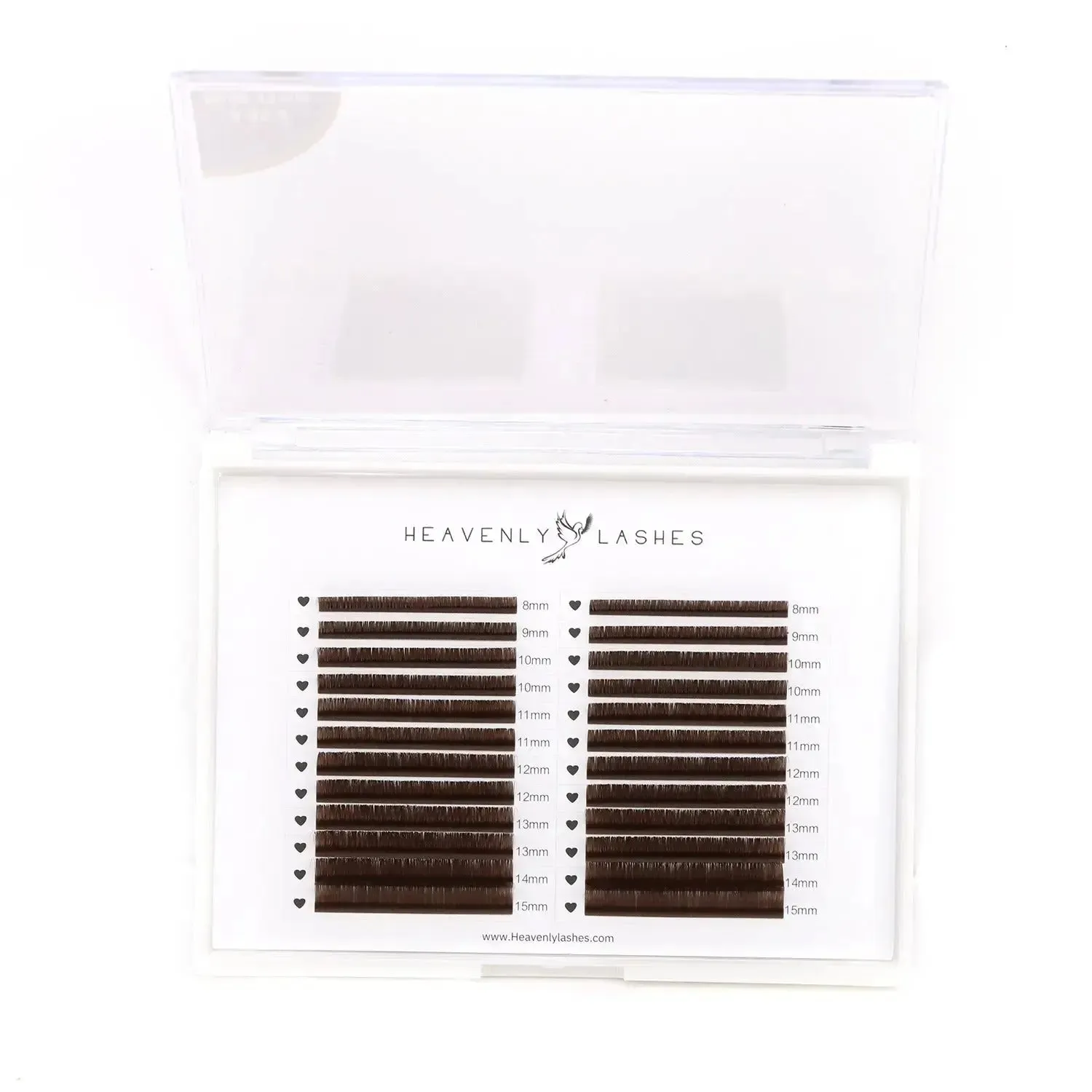 Cocoa Dream Bundle