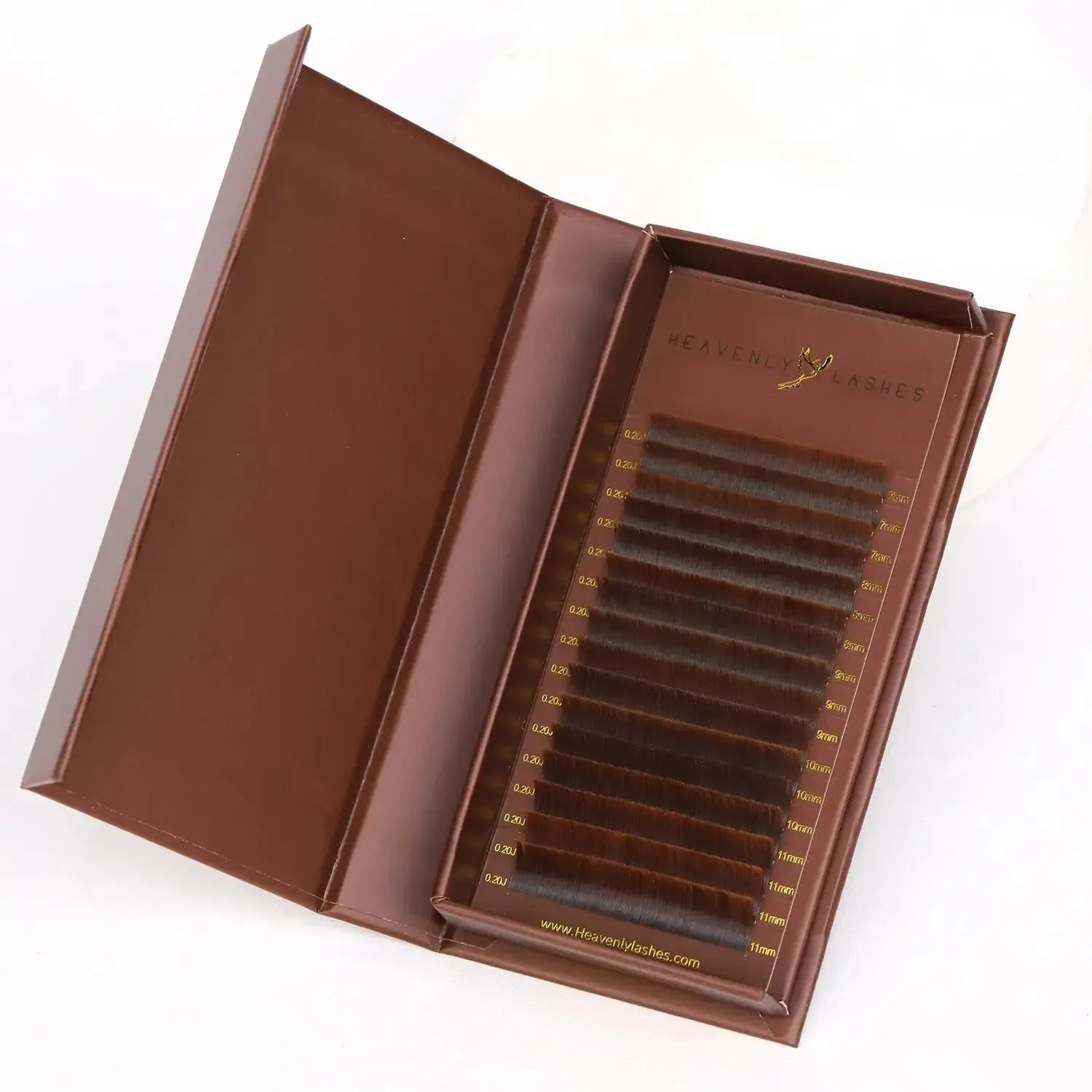 Cocoa Dream Bundle