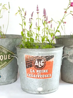 Collection Vintage French Galvanised Wash Tubs