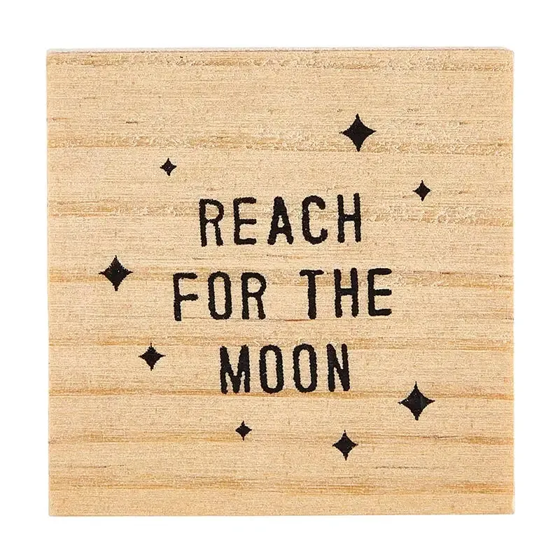 CUTE MOON & STAR SHAPED EARRINGS REACH FOR THE MOON