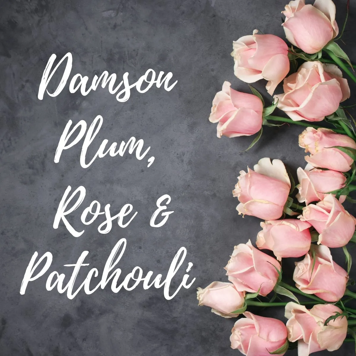 Damson Plum, Rose & Patchouli