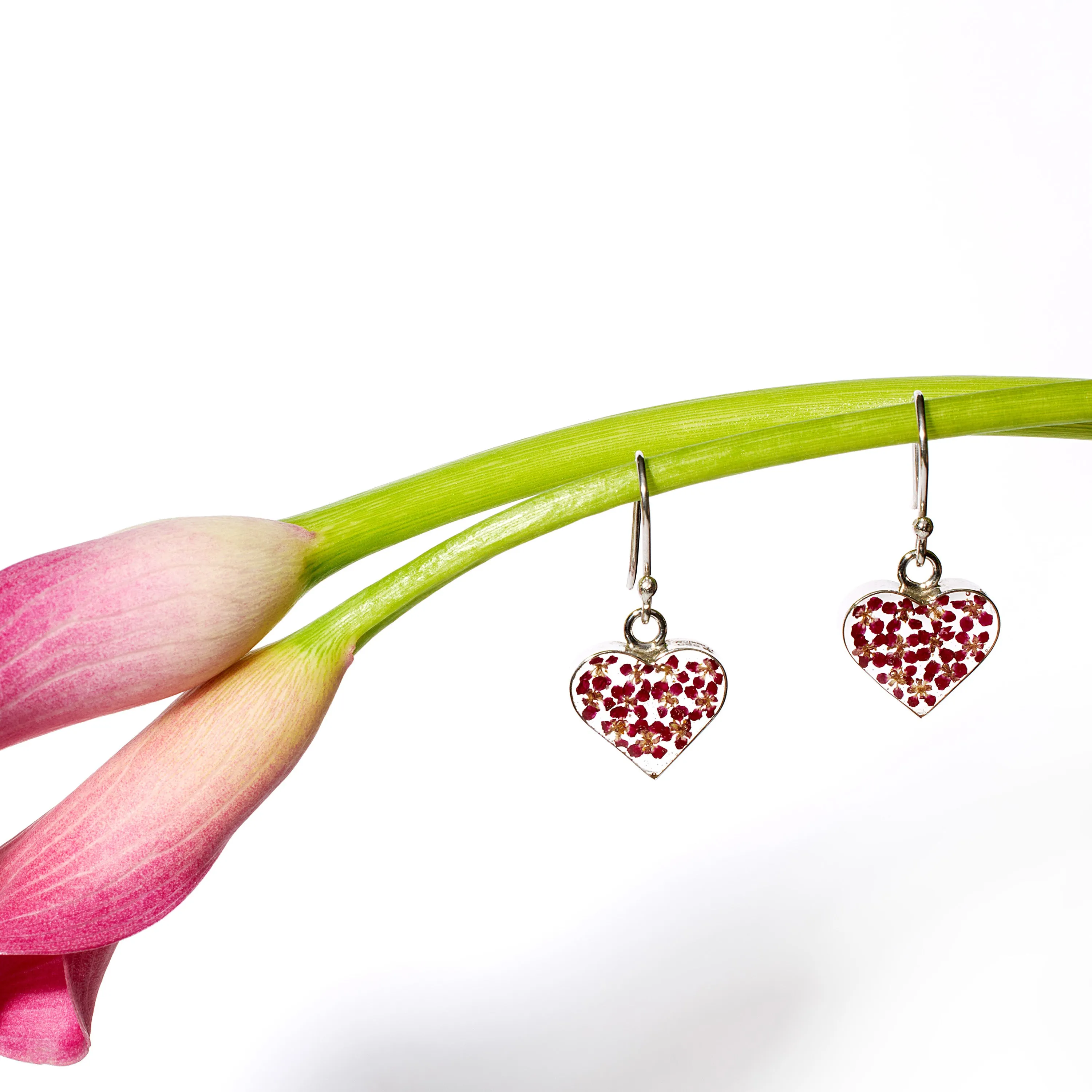 Delicate Amour Earrings