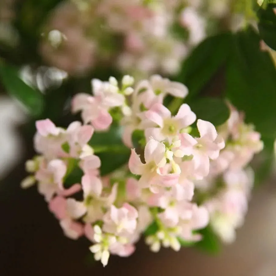 Delicate Silk Thyme Flower Branch