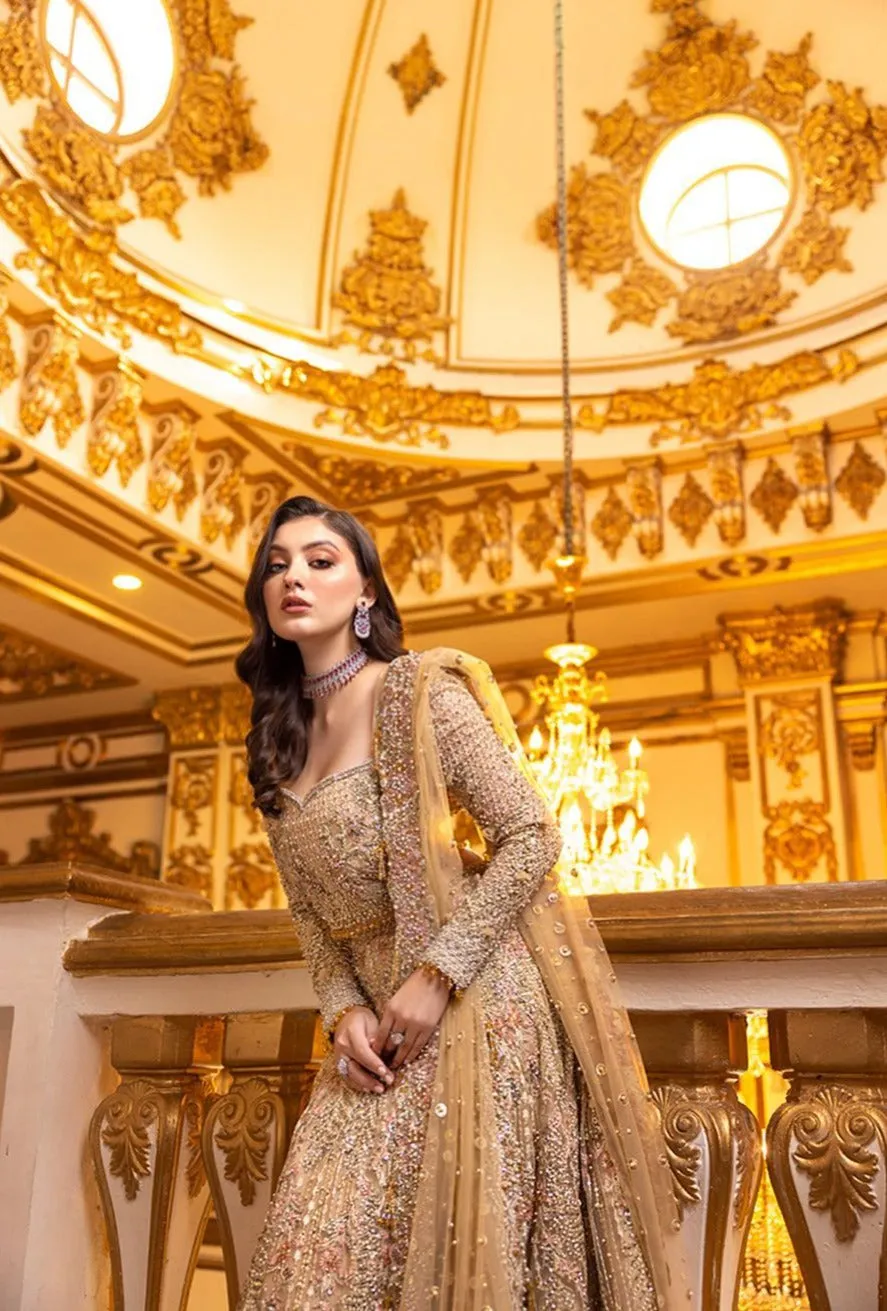 Embellished Lehenga and Choli Pakistani Bridal Dress