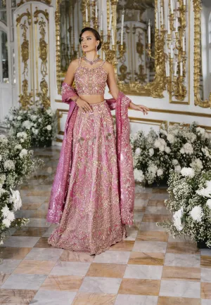 Embellished Lehenga Choli Dupatta Indian Bridal Dress