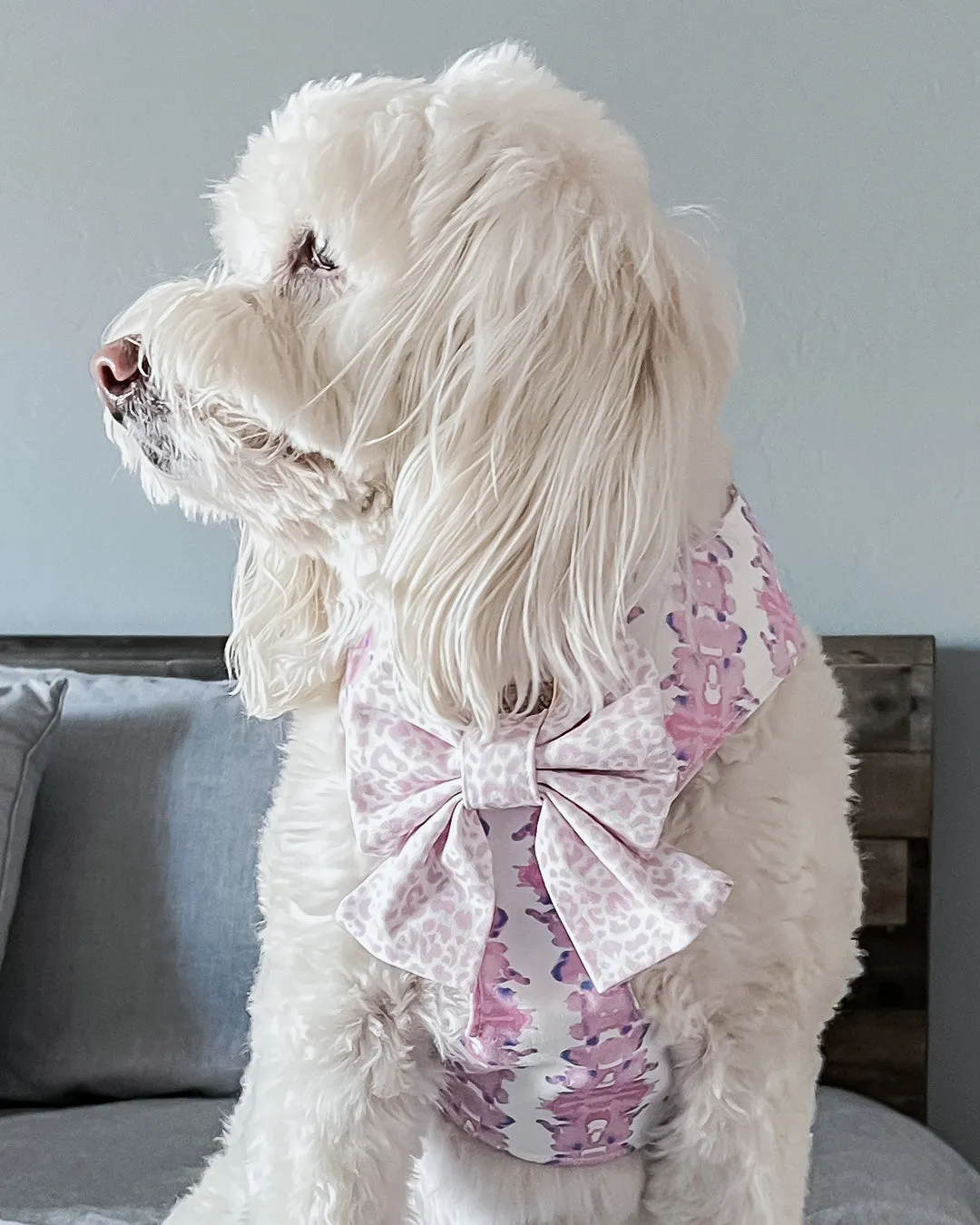 French Lavender Reversible Dog Harness   Sailor Bow