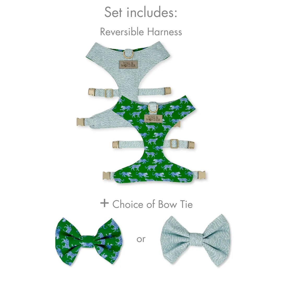 Leopard Parade Reversible Dog Harness   Bow Tie