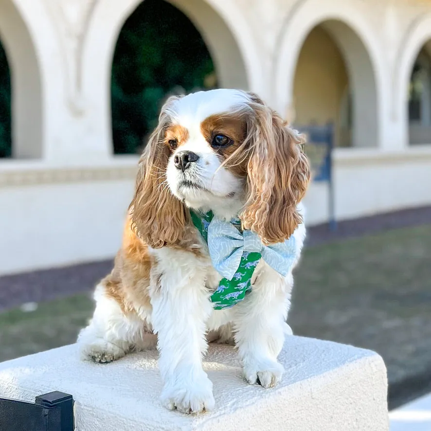 Leopard Parade Reversible Dog Harness   Bow Tie