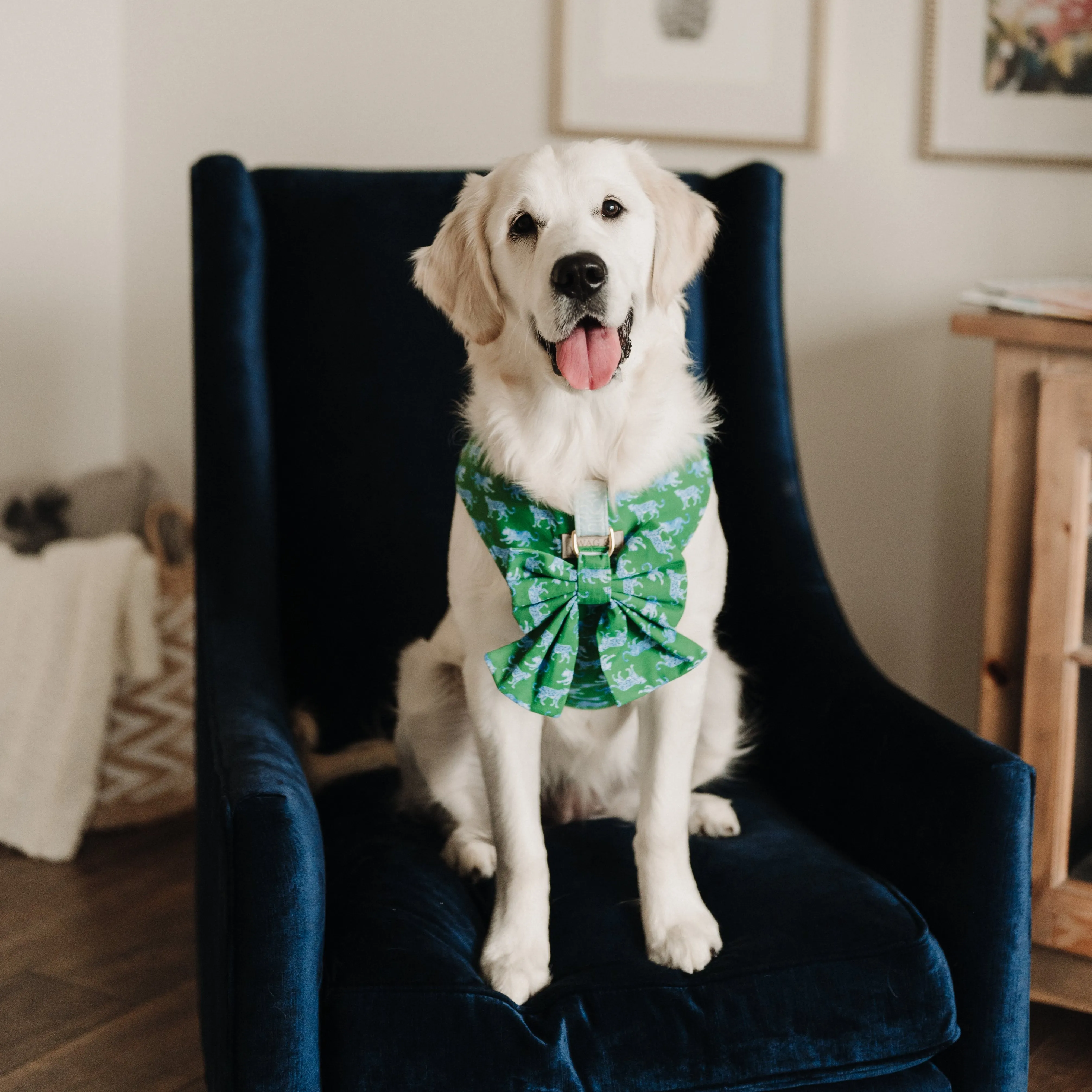 Leopard Parade Reversible Dog Harness   Sailor Bow