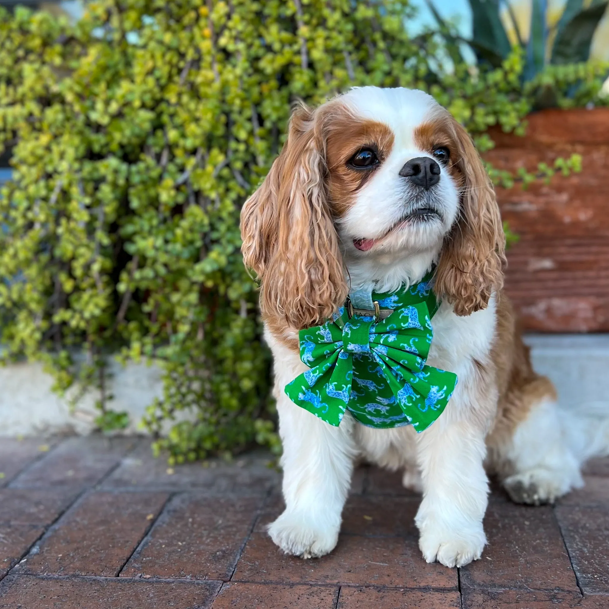 Leopard Parade Reversible Dog Harness   Sailor Bow