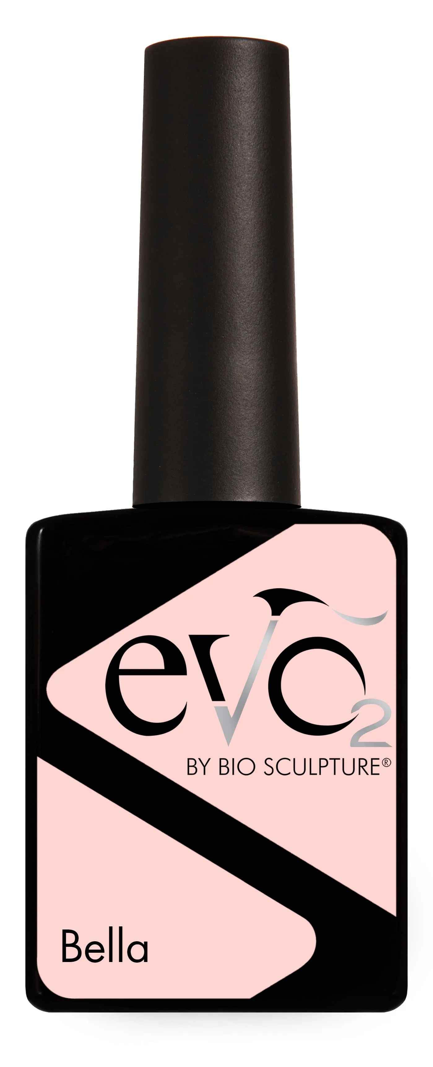 MEDLEY COLLECTION - EVO