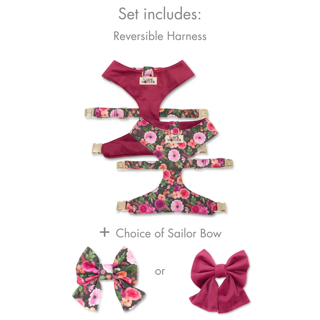Mulberry Bouquet Reversible Dog Harness   Sailor Bow