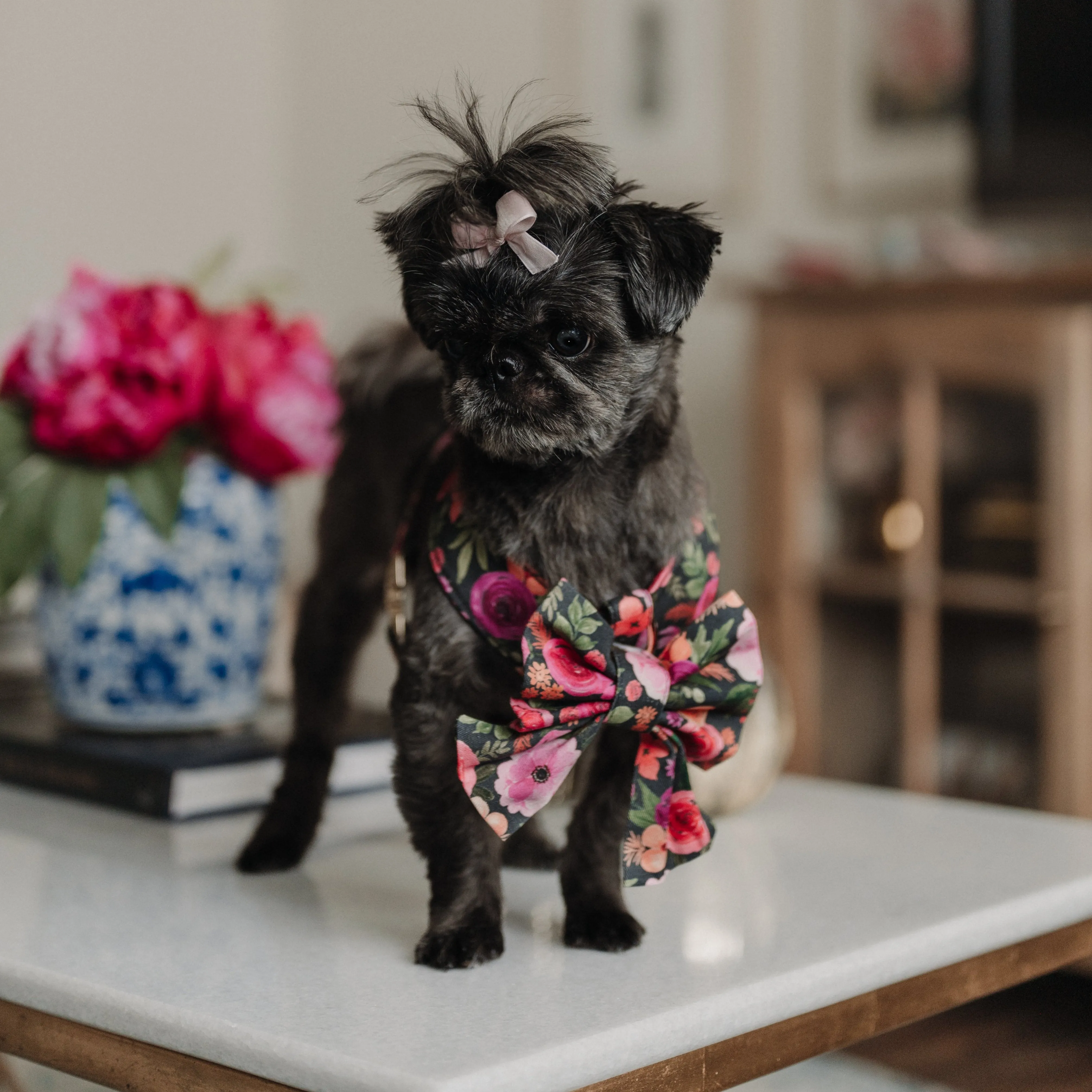 Mulberry Bouquet Reversible Dog Harness   Sailor Bow