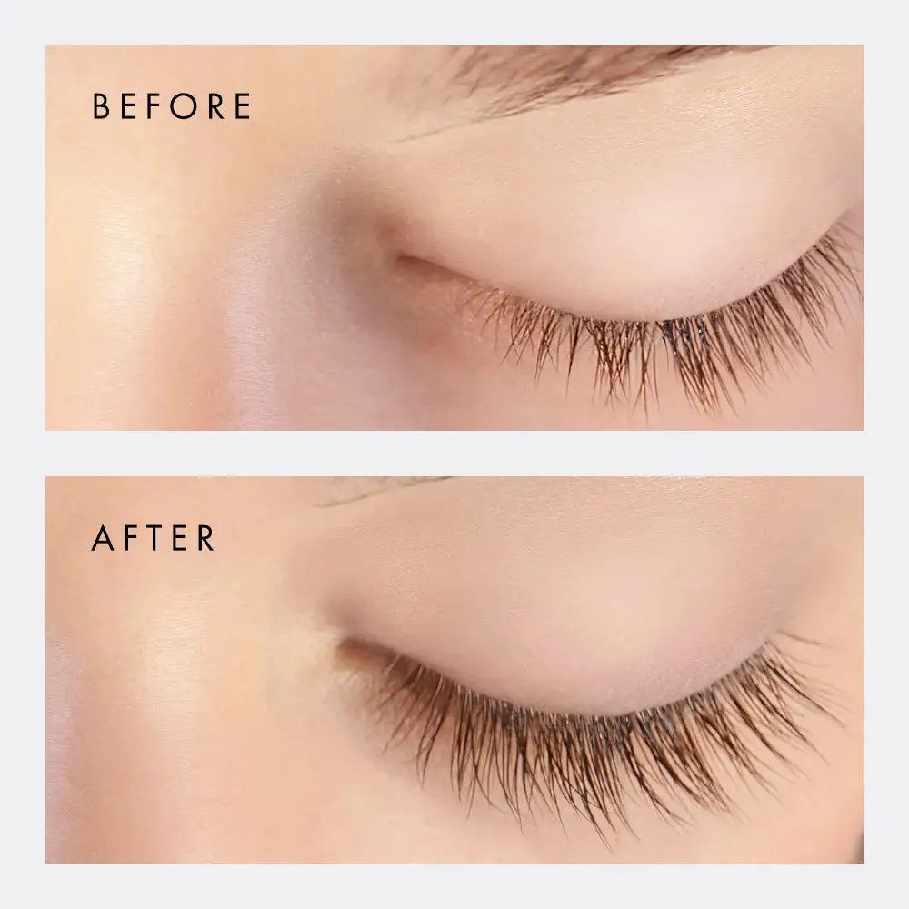 NEW   Lash Accelerator MD