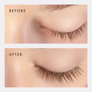 NEW   Lash Accelerator MD