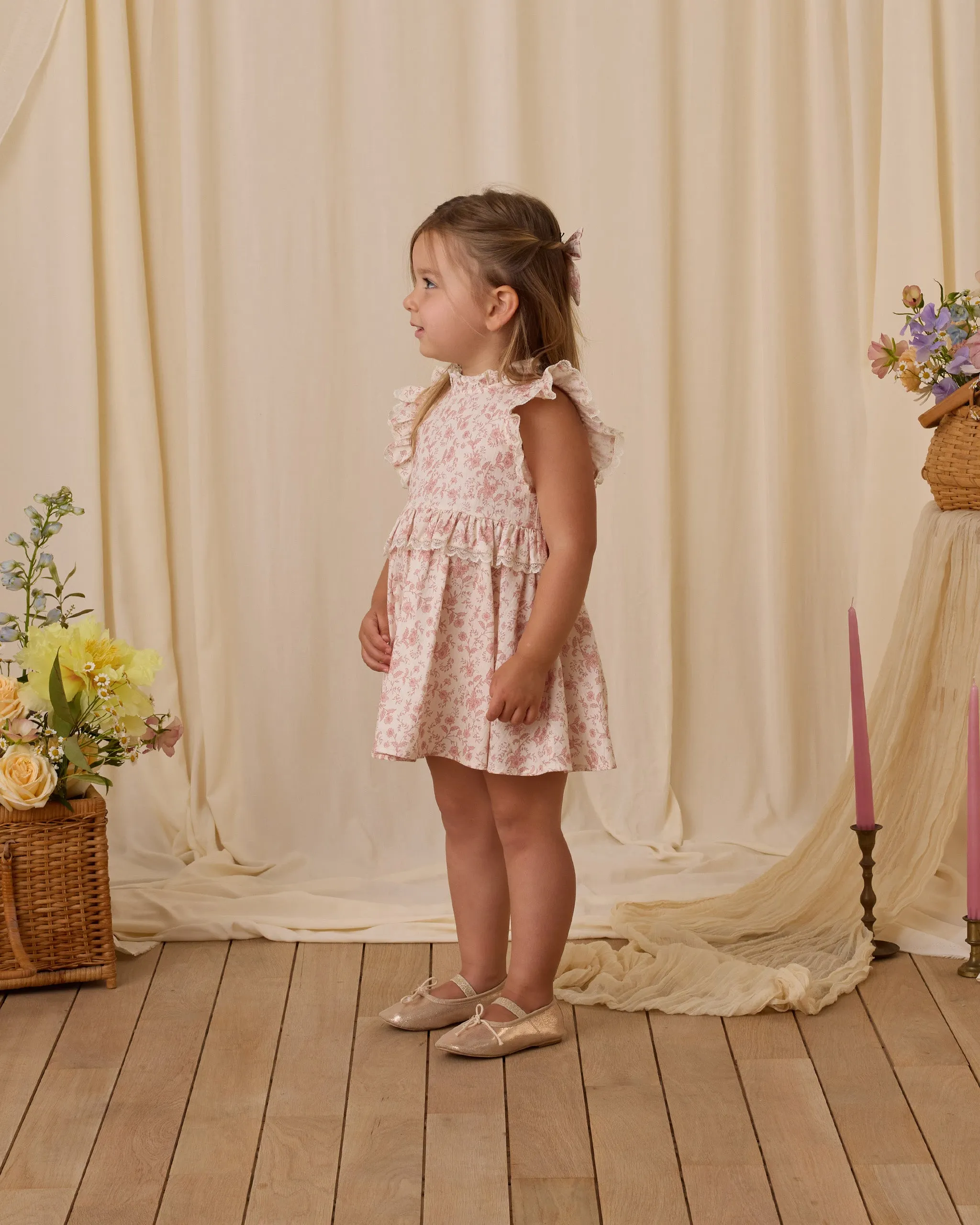 NORALEE Alice Dress | Pink Toile
