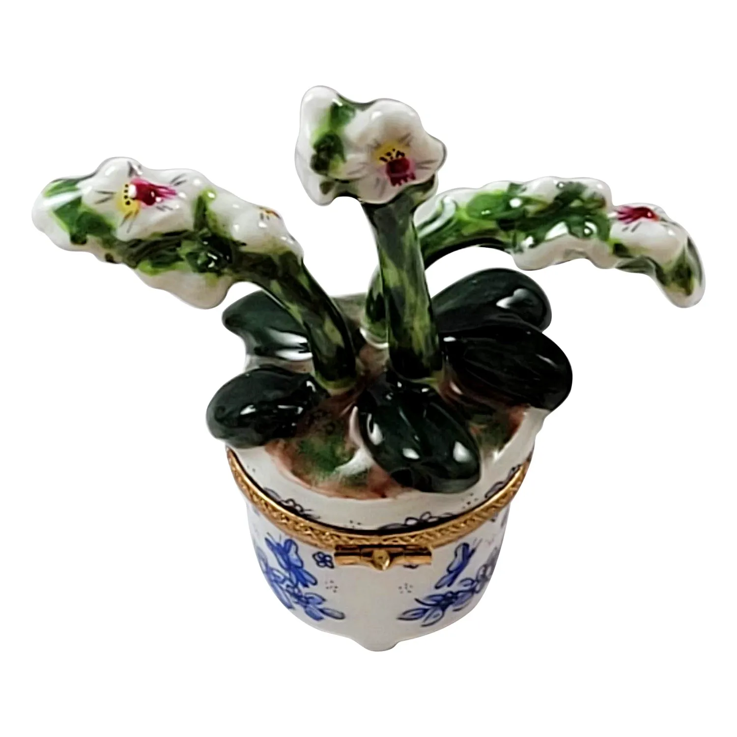 ORCHID