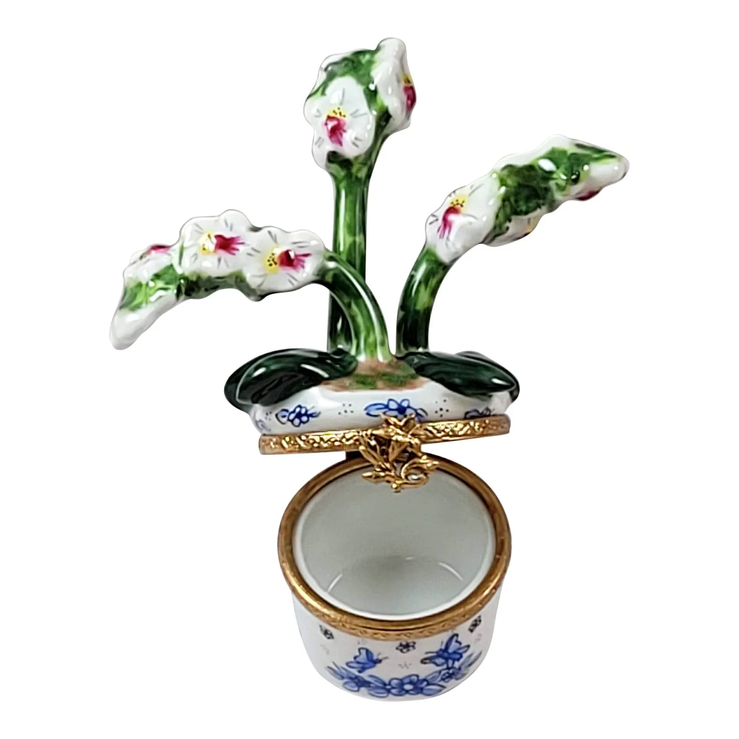 ORCHID