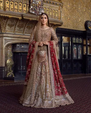 Pakistani Bridal Dress in Tissue Lehenga Choli Style