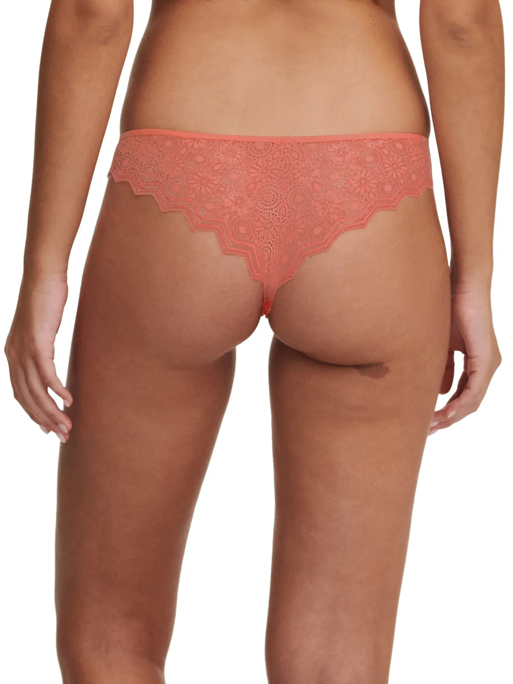 Passionata- Georgia Tanga | Peach Sorbet