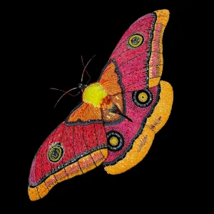 Pink Moth Wall Adornment