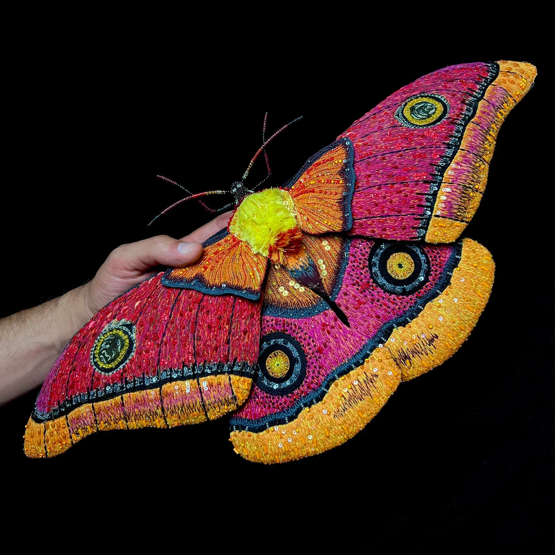 Pink Moth Wall Adornment