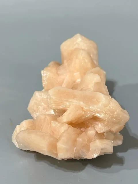 Pink Scolecite