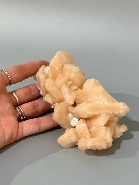 Pink Scolecite