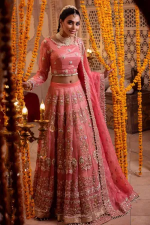 Royal Pakistani Bridal Pink Lehenga Choli Dress #BS839