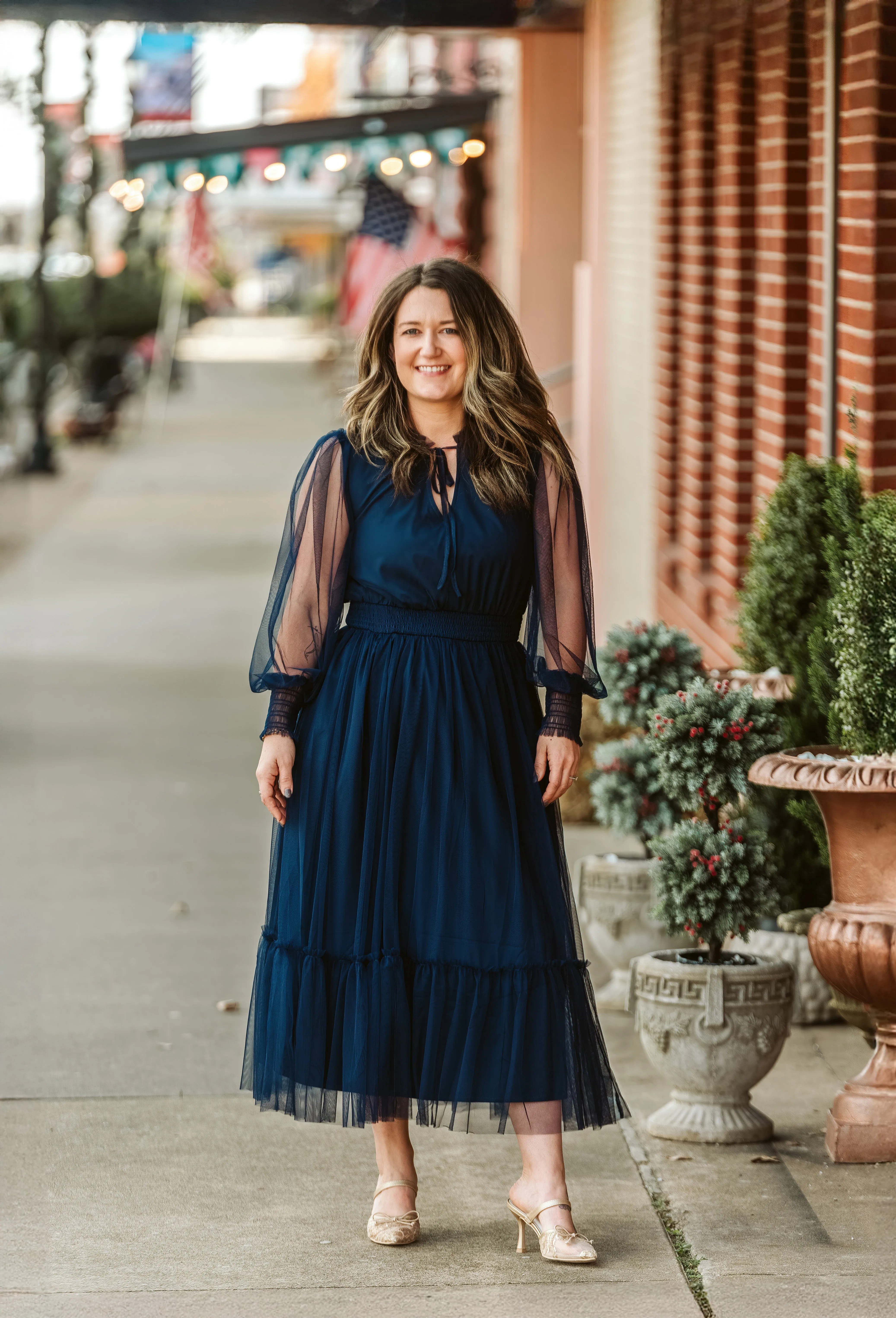 SALE Delicate Sheer Mesh Midi Dress