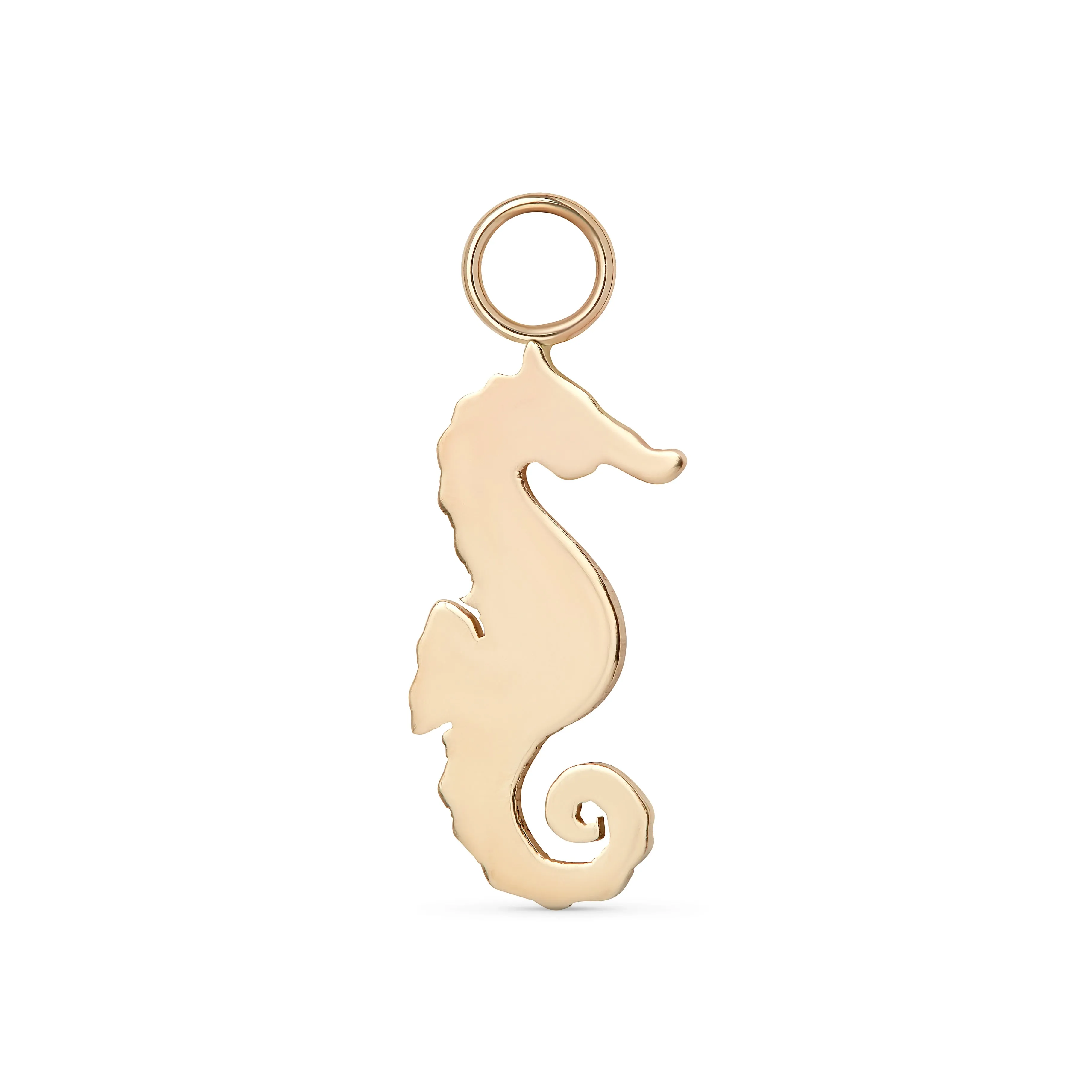 Seahorse Charm