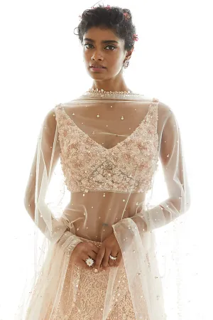 Seema Gujral Rose Gold Embroidered Lehenga Set