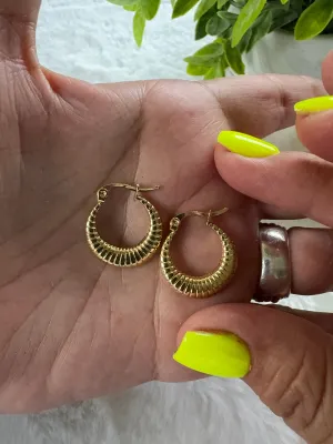 Stainless steel earrings