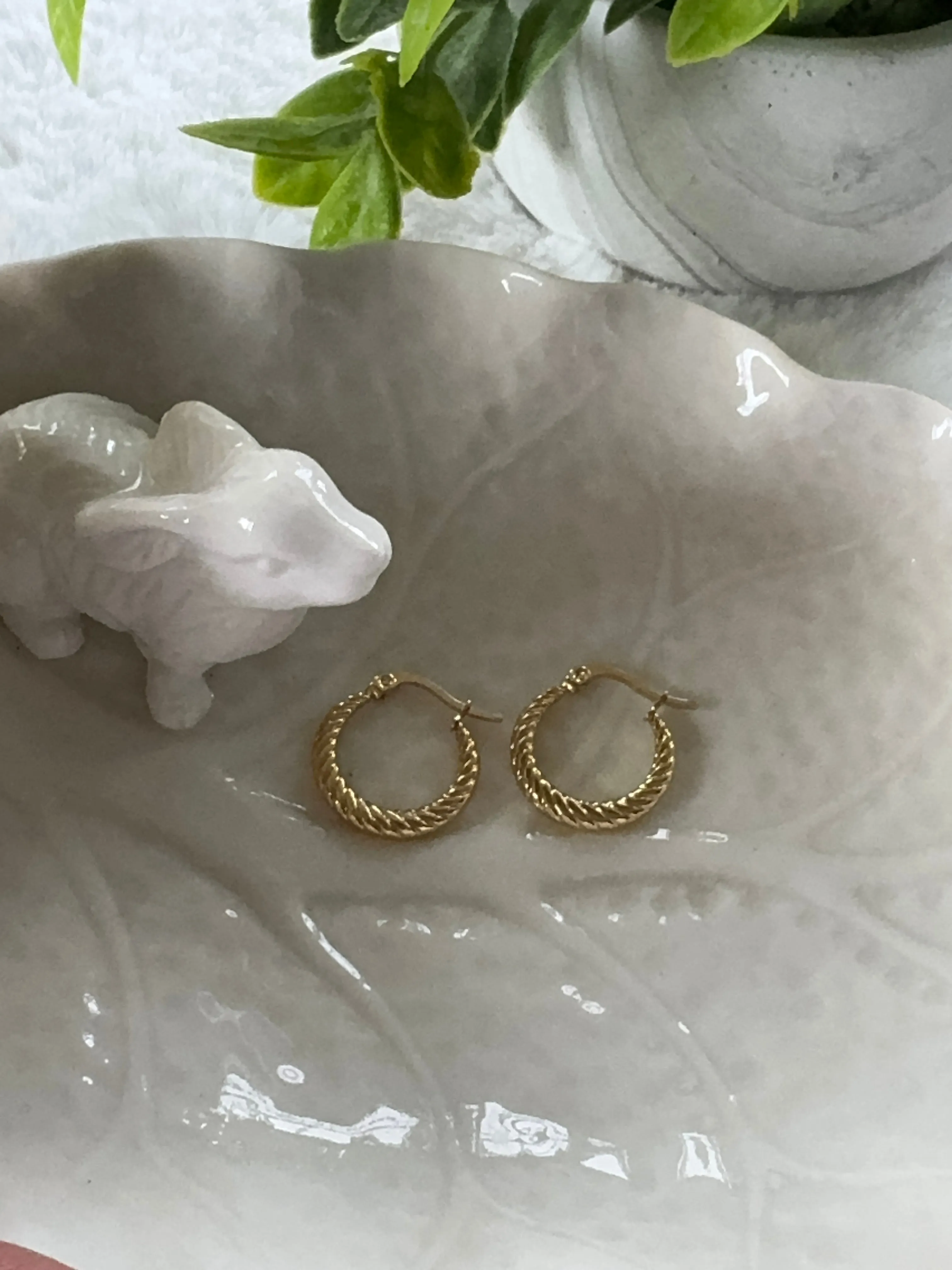 Stainless steel earrings