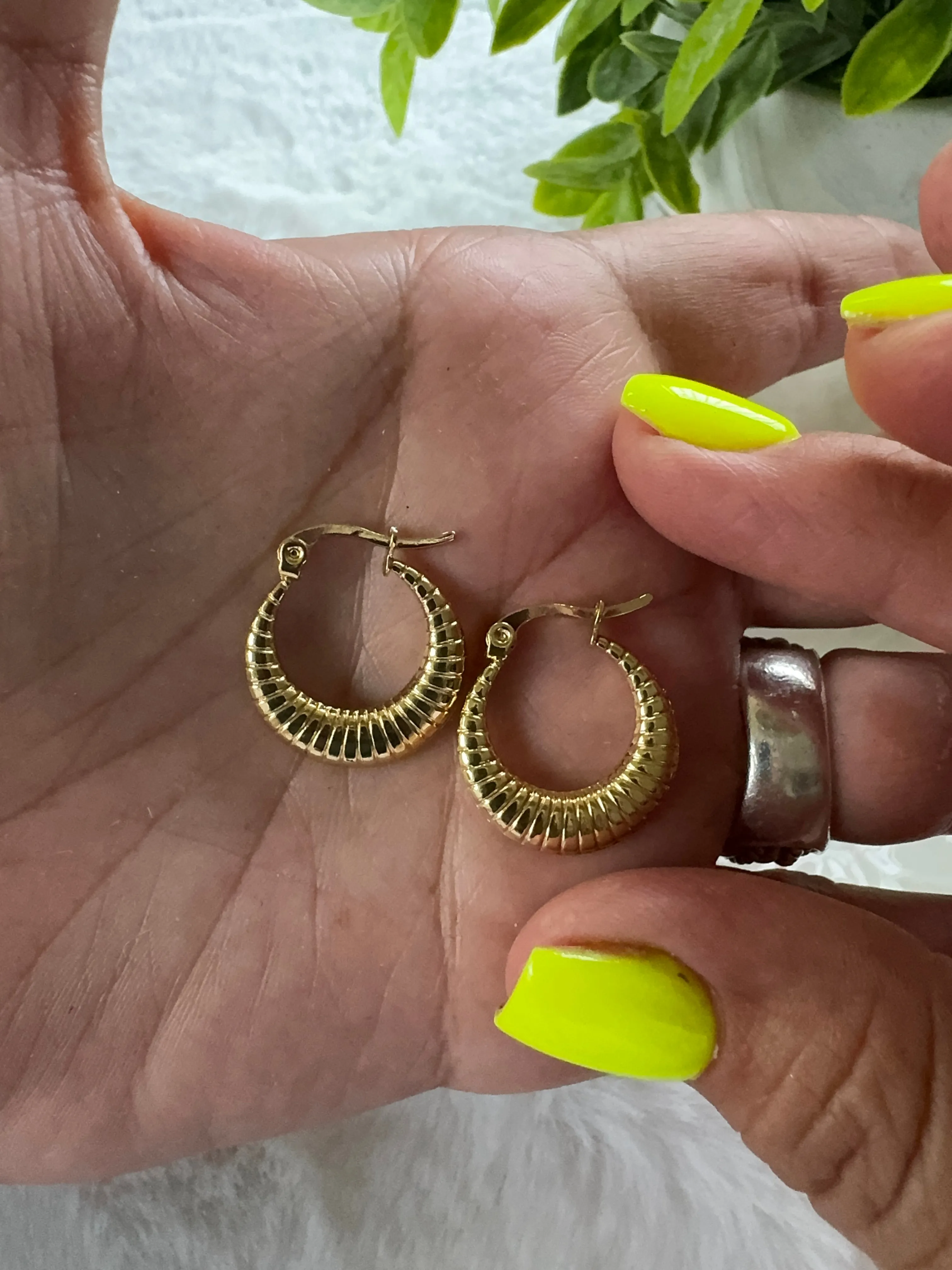 Stainless steel earrings
